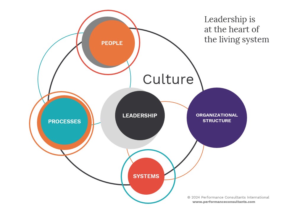 A system that makes an organizational culture