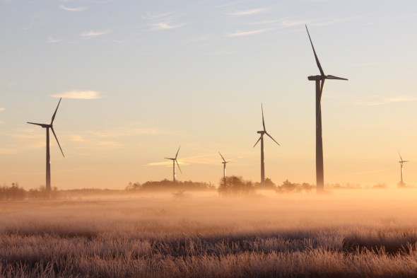 Image of renewable energy mills, a metaphor for sustainable leadership and cultures