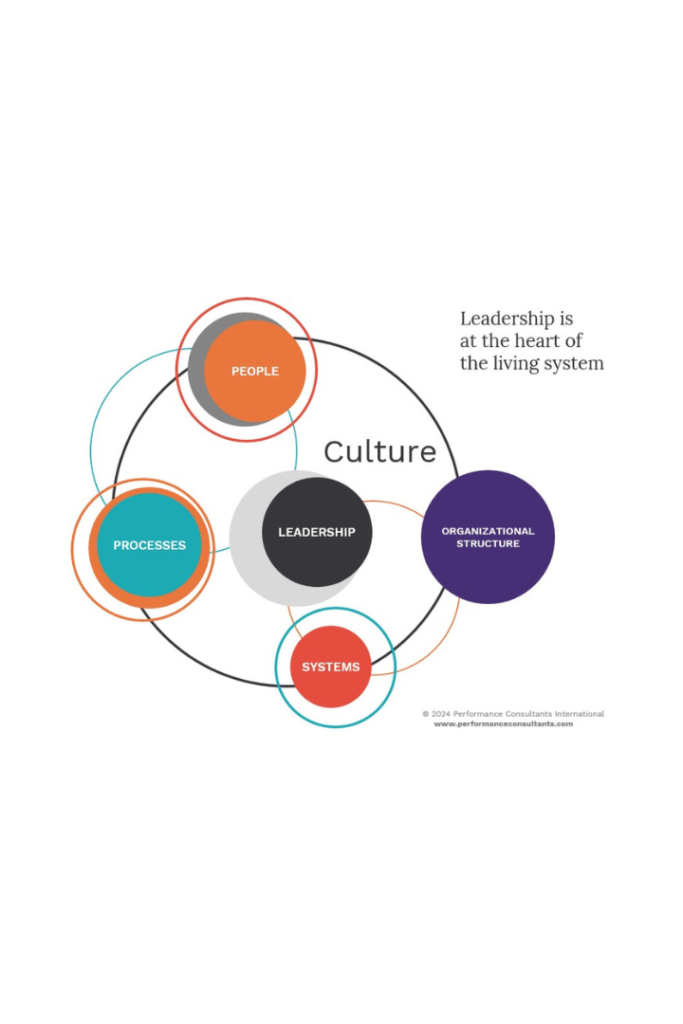 A system that makes an organizational culture