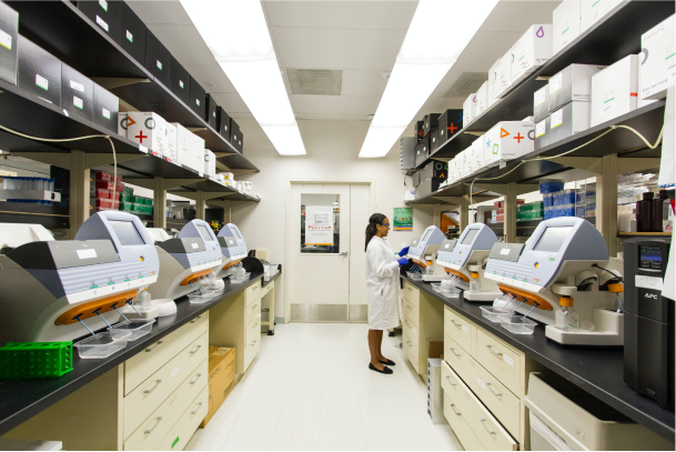 A pharmaceutical lab conducting tests